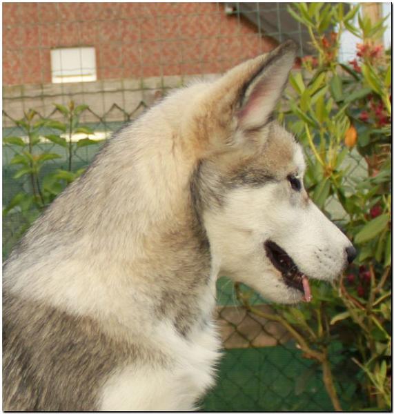 Onn 14 Wochen alt 3.jpg